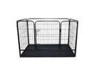 puppyren 80cm hoog, Ophalen, Nieuw