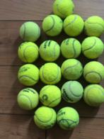 Ballen voor hond, Ophalen of Verzenden, Zo goed als nieuw, Intelligentiespeelgoed