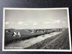 Westkapelle. No 8., Verzenden, 1940 tot 1960, Ongelopen, Zeeland