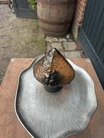 Nieuwe PTMD lamp, Verzenden, Nieuw, Minder dan 50 cm