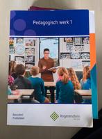 Pedagogisch Werk 1 - Angerenstein Welzijn, Ophalen of Verzenden, Gamma, Gelezen, MBO