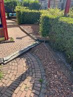 Bielzen **gratis**, Tuin en Terras, Ophalen, Biels, Zo goed als nieuw, Minder dan 100 cm