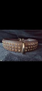 Swarovski  honden halsband band., Bruin, Minder dan 80 cm, Echt leder, Nieuw