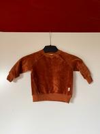 Roestbruin / bruin ribbelpatroon trui, maat 62 van Hema, Truitje of Vestje, Ophalen of Verzenden, Zo goed als nieuw, Hema