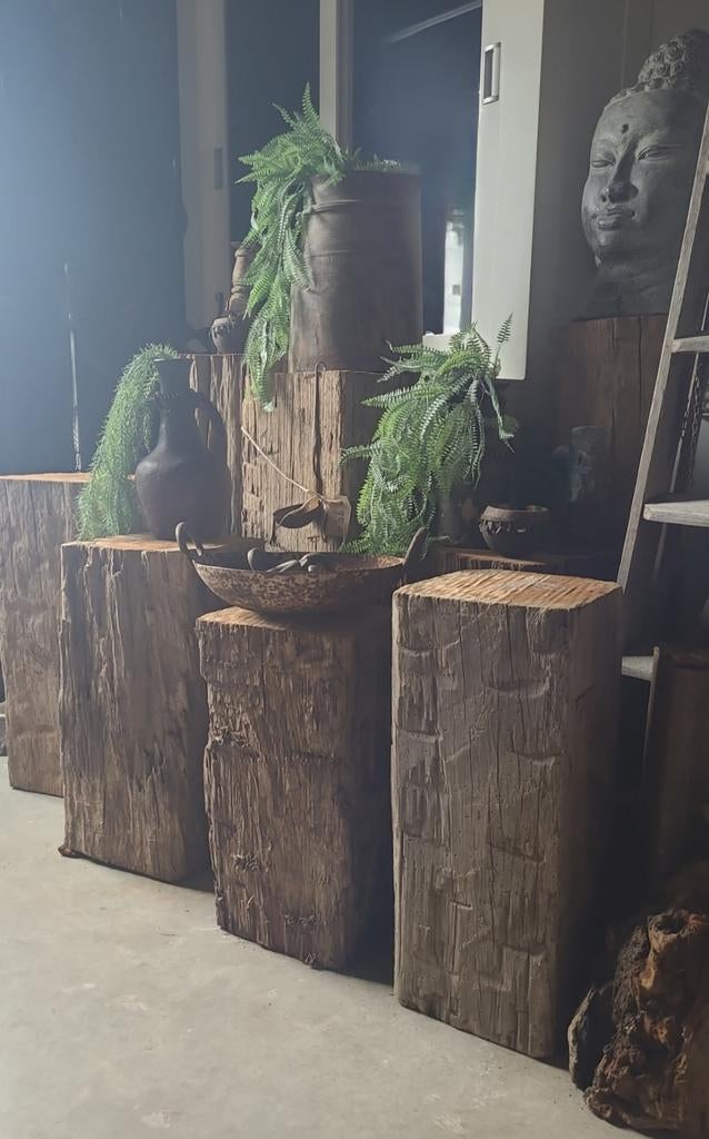 🌺Moederdag Kado🌺 MEERPALEN VANAF € 35,-, Tuin en Terras, Ophalen, Gebruikt