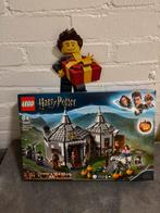 Lego Harry Potter Hagrid's Hut 75947 NIEUW, Ophalen of Verzenden, Nieuw, Complete set, Lego