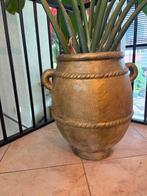 Zeer mooie mooie strelitzia in pot!, Huis en Inrichting, Kamerplanten, Ophalen, Halfschaduw, In pot, Bloeiende kamerplant