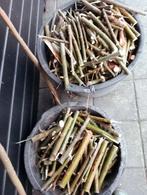 Gezaagd wilgenhout., Tuin en Terras, Haardhout, Minder dan 3 m³, Ophalen