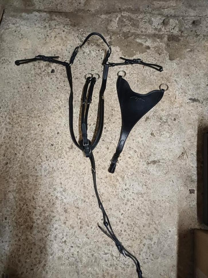 Dyon borsttuig, Dieren en Toebehoren, Paarden en Pony's | Hoofdstellen en Tuigage, Zo goed als nieuw, Dressuur, Ophalen of Verzenden