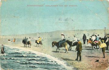 (381-083-035) Scheveningen Ezelrijden aan het Strand beschikbaar voor biedingen