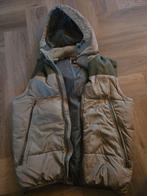 Cool Cat gewatteerd vest met capuchon - Maat L, Ophalen, Maat 52/54 (L), Groen, Coolcat