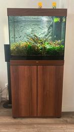 Complete Juwel Lido 200LED aquarium, Ophalen, Zo goed als nieuw, Gevuld zoetwateraquarium
