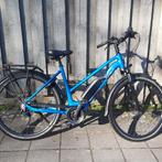 Stella Morena  Bosch Middenmotor, Zo goed als nieuw, 51 tot 55 cm, 50 km per accu of meer, Ophalen