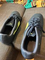 Football shoes 47, Sport en Fitness, Maat XS of kleiner, Ophalen, Zo goed als nieuw, Schoenen