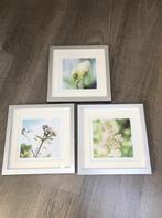 Drie zilverkleurige lijsten met natuur printen, Ophalen of Verzenden, Zo goed als nieuw