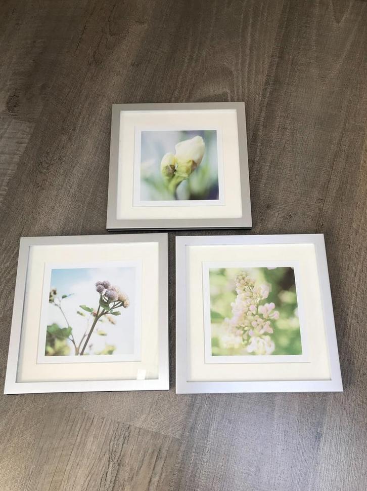 Drie zilverkleurige lijsten met natuur printen, Audio, Tv en Foto, Fotografie | Fotolijsten, Zo goed als nieuw, Ophalen of Verzenden