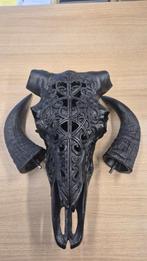 Buffelschedel , Skull , hoorns , bison schedel, Ophalen of Verzenden, Zo goed als nieuw