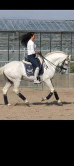 Bijrijder gezocht, Ophalen of Verzenden