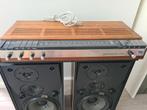 BeoFox S45-2 + beomaster 1000 BO Bang Olufsen, Audio, Tv en Foto, Zo goed als nieuw, 120 watt of meer, Front, Rear of Stereo speakers