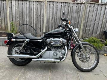 Harley Davidson Sportster XL883C beschikbaar voor biedingen
