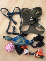 Honden harnas riem speeltjes, Ophalen of Verzenden, Zo goed als nieuw