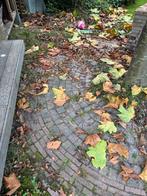 Waaltjes & Cobblestones Cirkel Bestrating, Tuin en Terras, Ophalen, Gebruikt, Klinkers, 5 tot 10 m²