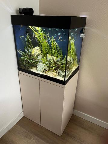 Aquarium Juwel lido 120L volledige set incl. kast beschikbaar voor biedingen