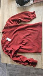 Mooie nieuwe rood bordeaux roestbruin hema trui, maat xl, Maat 46/48 (XL) of groter, Nieuw, Ophalen of Verzenden, Hema