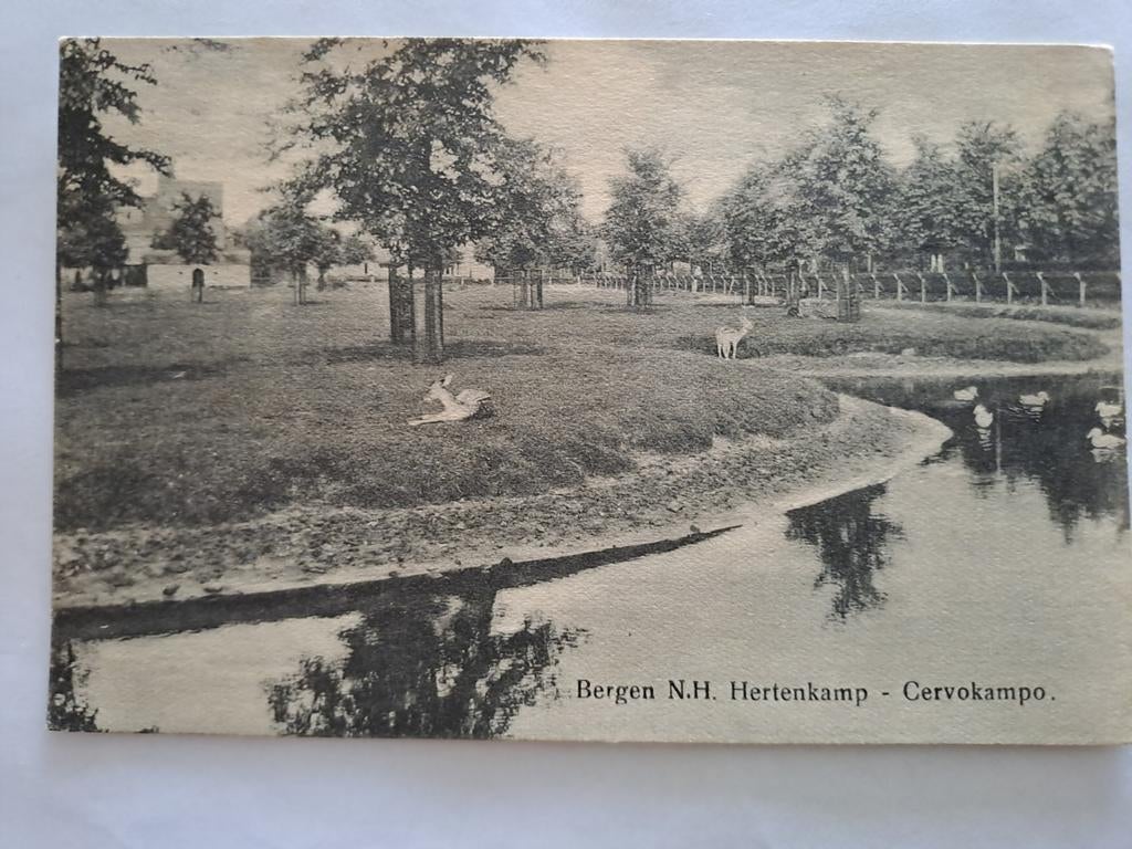 Bergen,  Hertenkamp, Ophalen of Verzenden, Voor 1920, Noord-Holland