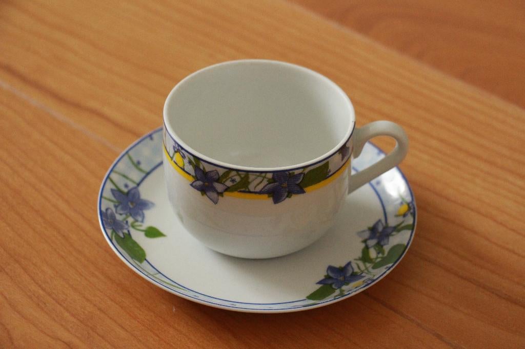 Porseleinen kop en schotel van Alt Regensburg, Ophalen of Verzenden, Zo goed als nieuw, Porselein, Kop en/of schotel