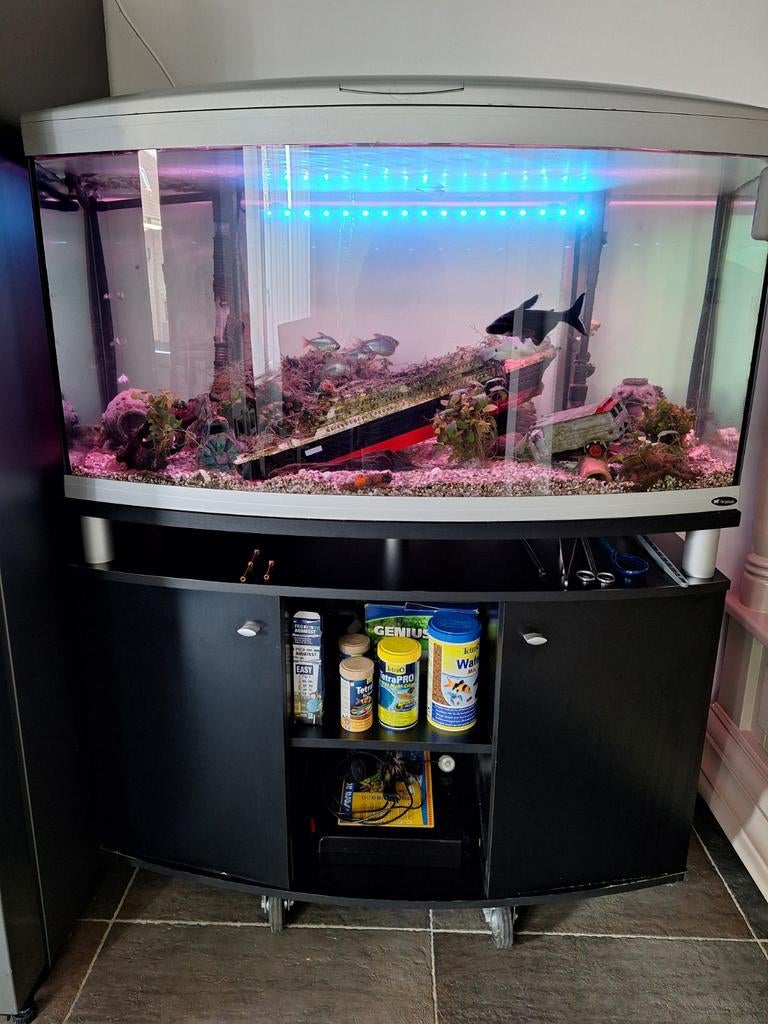 Compleet aquarium 145x110x55, Dieren en Toebehoren, Ophalen, Inclusief toebehoren, Gebruikt, Gevuld zoetwateraquarium