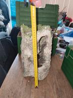 Aquarium rots, Dieren en Toebehoren, Ophalen