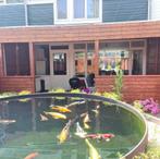 Silovijver totaal vijverbouw pakket met vijverfolie lassen, Tuin en Terras, Ophalen