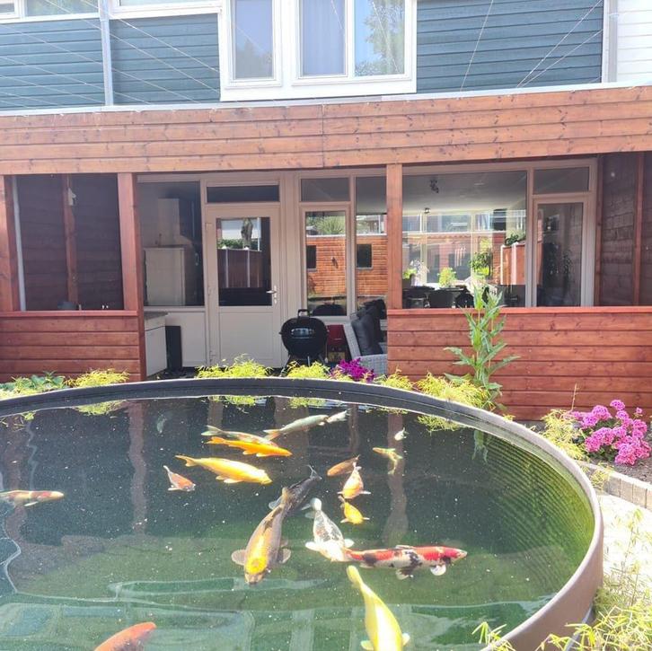 Silovijver totaal vijverbouw pakket met vijverfolie lassen, Tuin en Terras, Vijver-toebehoren, Ophalen