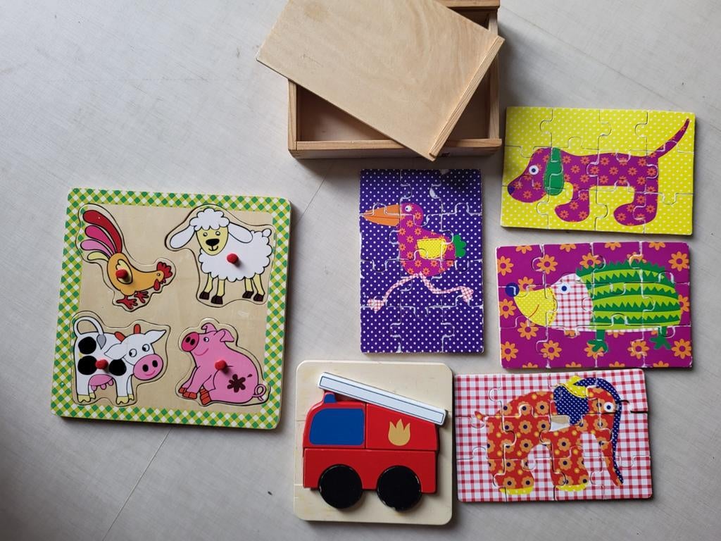 6 houten puzzels, Ophalen of Verzenden