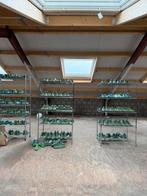 Schoenleesten Diverse Maten schoenmaker schoenmakerij leest, Ophalen, Gedragen, Overige kleuren, Overige typen