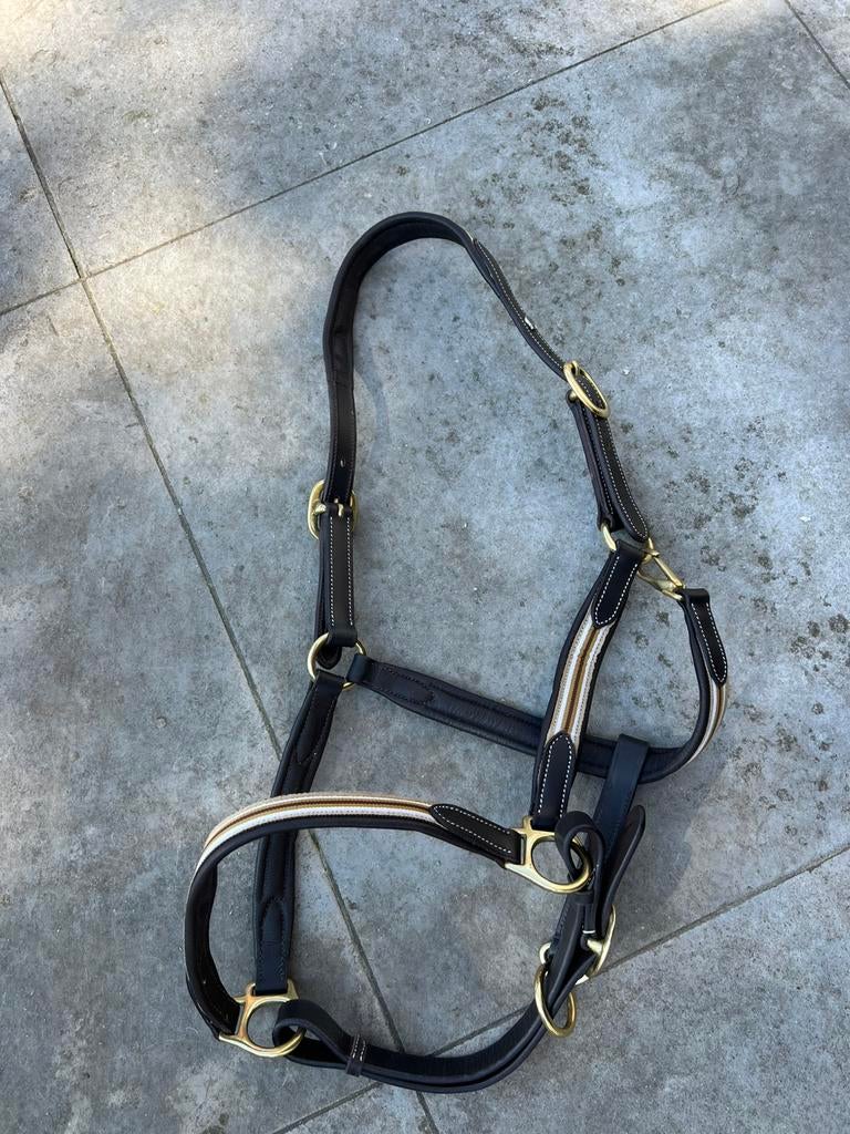 Lederen halster maat Full, Dieren en Toebehoren, Ophalen of Verzenden, Nieuw, Overige soorten