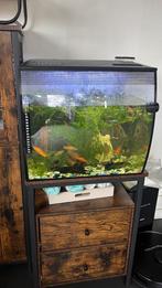 Zwaarddragers, Dieren en Toebehoren, Vissen | Aquaria en Toebehoren, Ophalen of Verzenden, Zo goed als nieuw