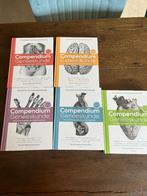 Compendium boeken 2.0, Ophalen of Verzenden, Romee Snijders en Veerle Smits, Beta, WO