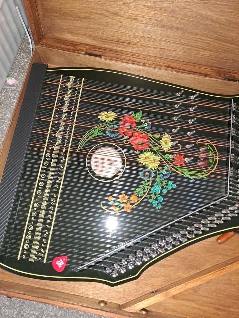 Vintage Citer met Bloemenmotief en Koffer, Muziek en Instrumenten, Snaarinstrumenten | Overige, Ophalen of Verzenden, Gebruikt