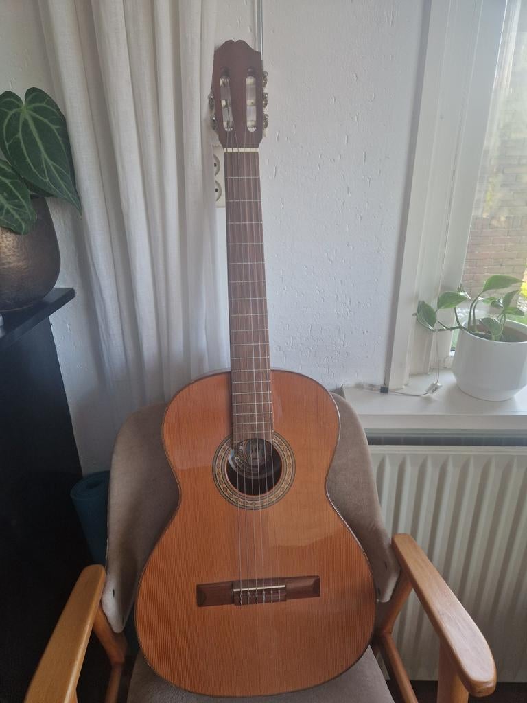 Vicente Tatay Tomas klassieke gitaar, Ophalen