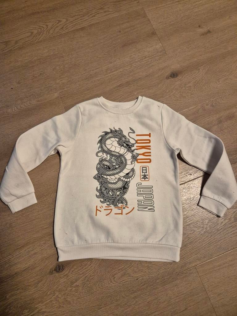 Sweater maat 140, Kinderen en Baby's, Kinderkleding | Maat 140, Ophalen of Verzenden, Zo goed als nieuw, Jongen, Trui of Vest