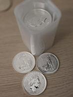 LAATSTE TUBE 25 X 1 OZ BRITANNIA ZILVER MUNTEN, Ophalen of Verzenden, Zilver