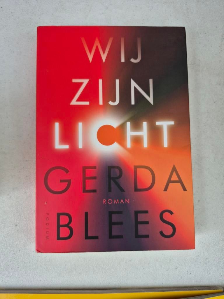 Gerda Blees - Wij zijn licht, Ophalen of Verzenden, Zo goed als nieuw, Gerda Blees