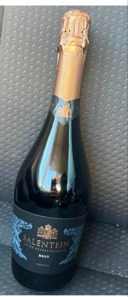 Salentein Cuvée Exceptionnelle Brut, Ophalen of Verzenden, Nieuw, Zuid-Amerika, Overige typen