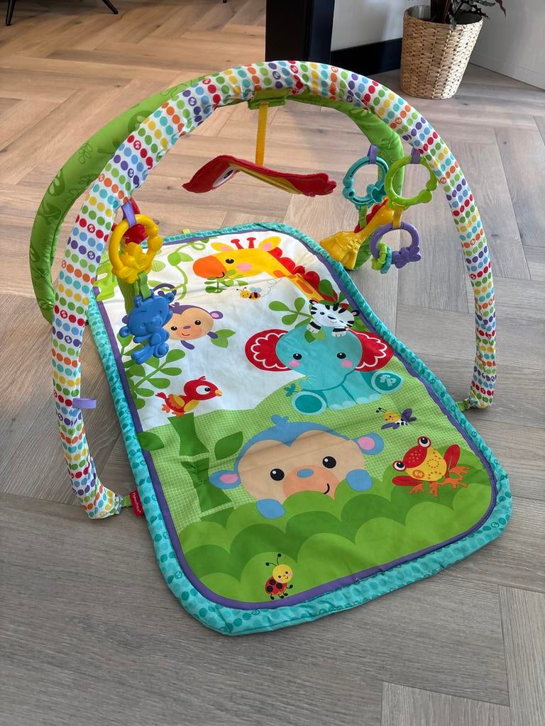 Fisher-Price Speelkleed met Babygym, Ophalen of Verzenden, Gebruikt, Speelkleed