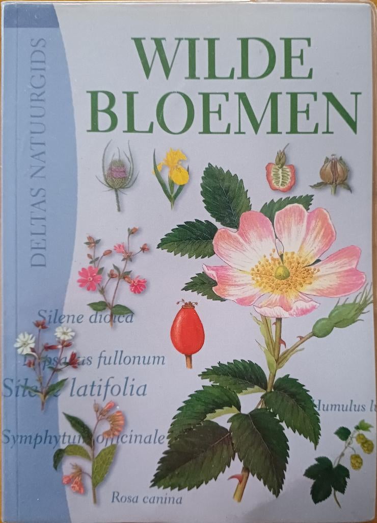 2+1 GRATIS! Wilde bloemen - Deltas natuurgids, Boeken, Natuur, Gelezen, Bloemen, Planten en Bomen, Paul Sterry, Ophalen of Verzenden