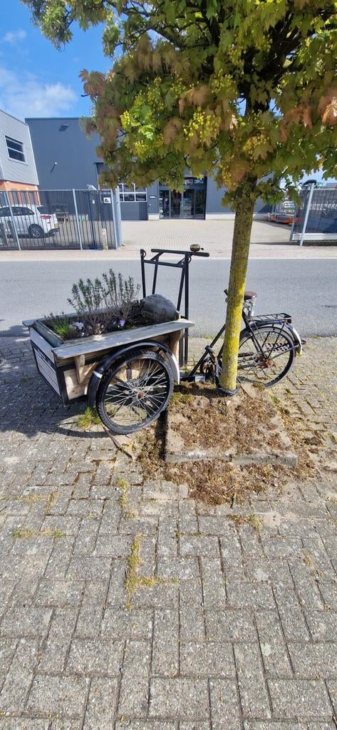 Gazelle apollo bakfiets, Fietsen en Brommers, Fietsaccessoires | Aanhangers en Karren, Ophalen, Gebruikt, Overige typen, 80 kg of meer