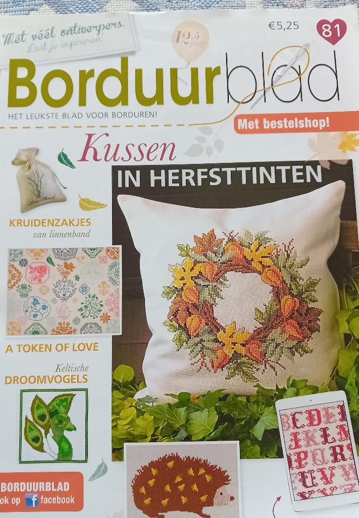 Borduurblad nr. 81, Hobby en Vrije tijd, Ophalen of Verzenden, Nieuw, Patroon