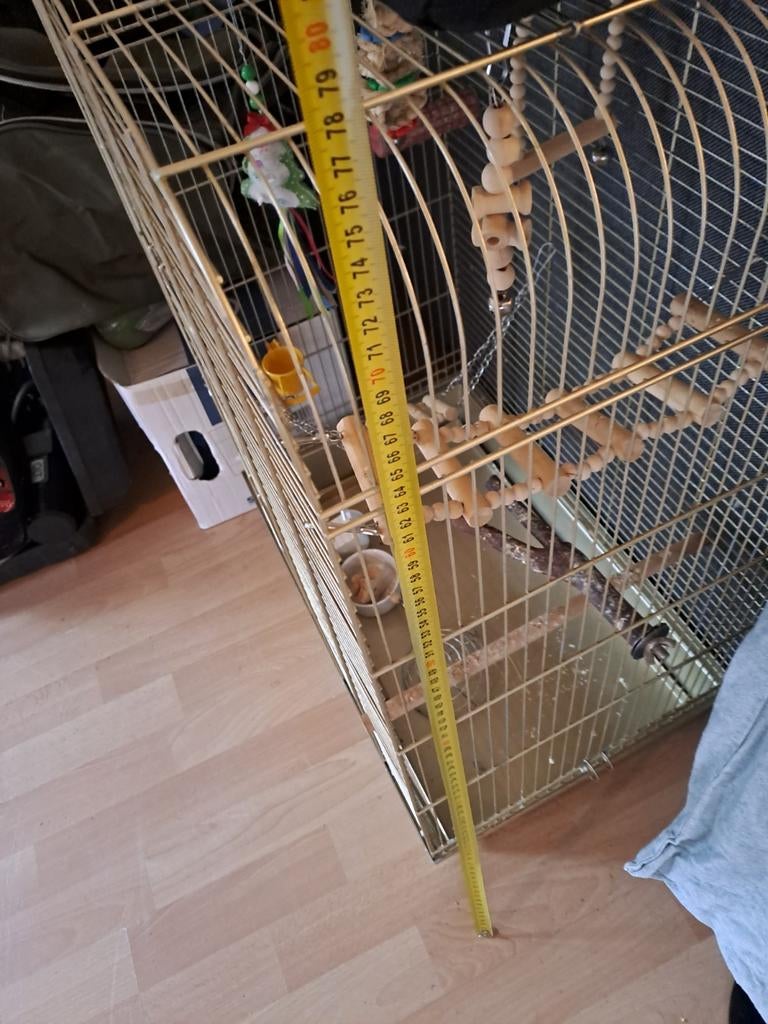 Vogel kooi goud, Ophalen